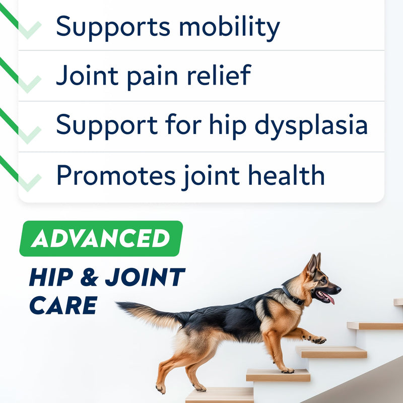 Advanced Glucosamine Hip & Joint Supplement for Senior Dogs - Green Lipped Mussel & Collagen - Hip & Joint Pain Relief - Large & Small Breed - Joint Health - Bacon - 120 Chews