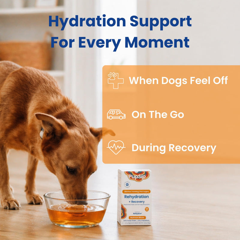 Dog Hydration Support – Helps During Stomach Upset, Vomiting & Diarrhea – Restores Appetite & Boost Energy with Electrolytes and Turkey Tail Mushroom, 12 Sticks