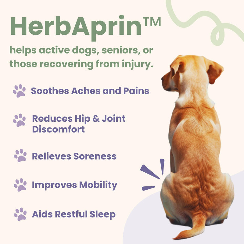 Glacier Peak Holistics HerbAprin - Natural Pain Relief for Dogs, Organic Herb Blend for Arthritis, Aches, Pains, Inflammation, Mobility Support, and Hip & Joint Discomfort - 3oz (90 Servings) - PawsPlanet Australia