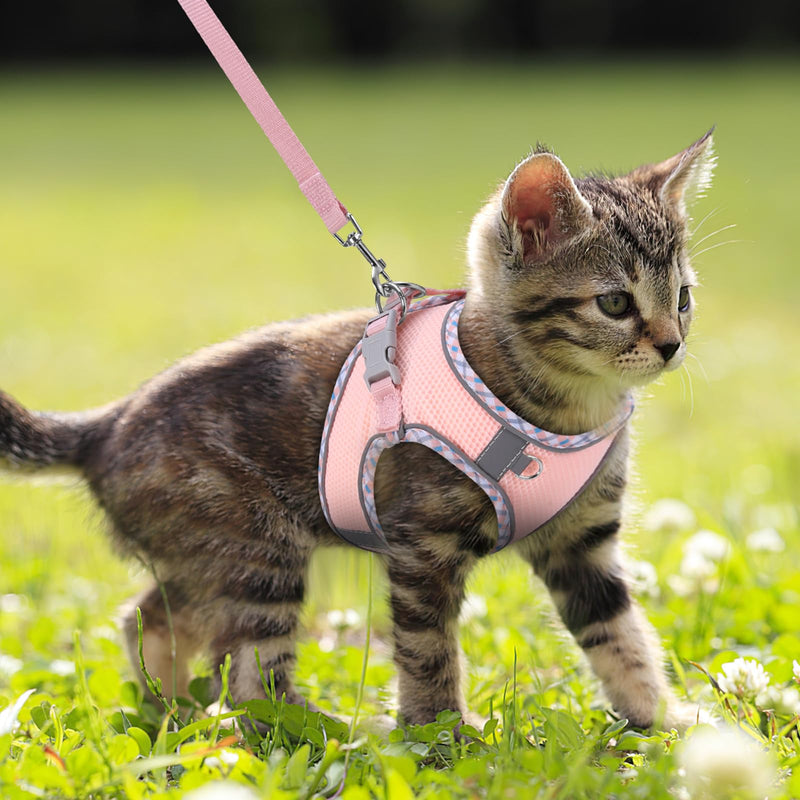 Brifit Cat Harness, Cat Harness with Leash, Escape-Proof, Soft Harness for Cat with Reflective Strips, Adjustable Cat Vest, Cat Harness Cat Harness for Cats Puppy [Pink, XXS] Pink - BeesActive Australia