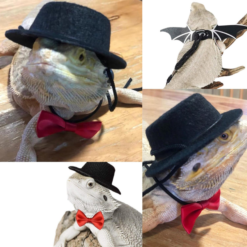 Bearded Dragon Leash Harness, 3 Size Pack Leather Wing Lizard Harness with Hat & Bow Tie Collar for Bearded Dragon Lizard Reptiles Small Pets Photo Props (Black) Black - BeesActive Australia