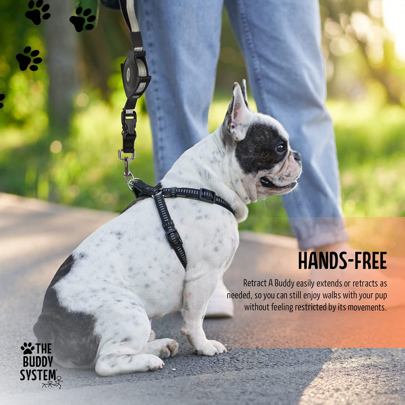 The Buddy System Retract A Buddy - Retractable Hands Free Waist Belt Leash for Walking, Jogging, Running, Hiking and Training Small Dogs Retractable leash Small Dog Black - BeesActive Australia