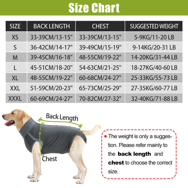 HEYWEAN Dog Bodysuit After Surgery Body Dog Castration Bitch Dog Surgery Body Male Castration Body Dogs After Surgery Suit Dog Surgical Body Dog Medical Body for Dogs Castration Body Wound Protection Suit Dog M Grey - BeesActive Australia