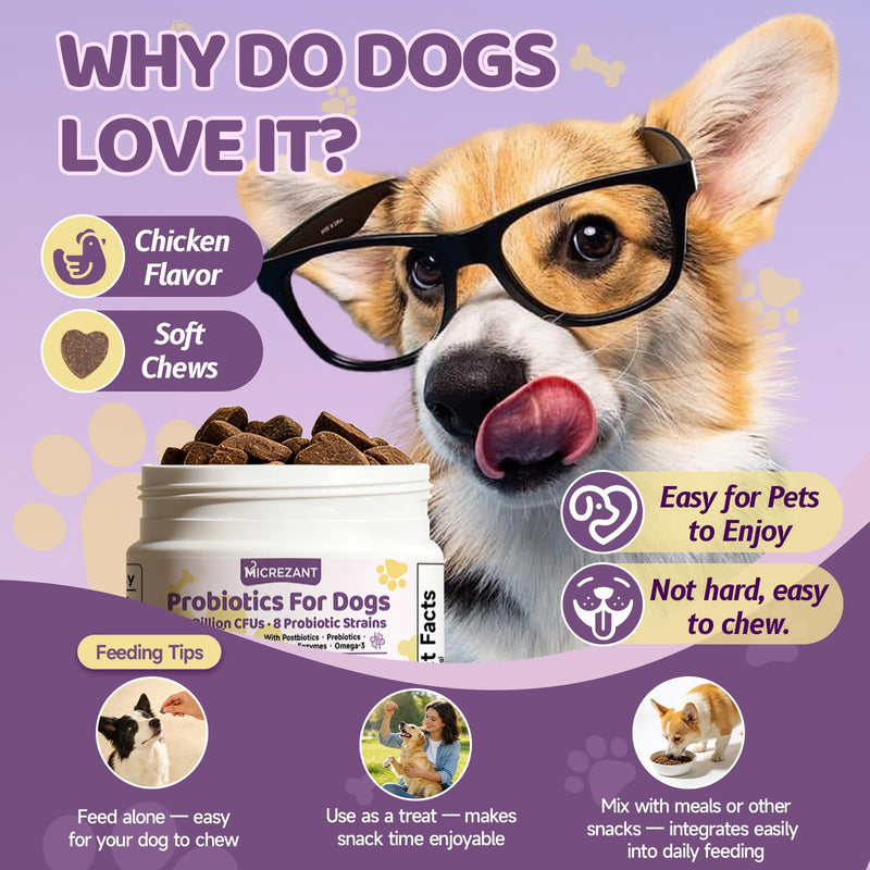 Probiotics for Dogs with Feeding Tweezers, 10 Billion CFUs Chews for Gut & Digestive Health, Itchy Skin & Ears, Diarrhea Relief & Immune Support with 8 Probiotic, Prebiotics, Chicken, 120 Ct/300g