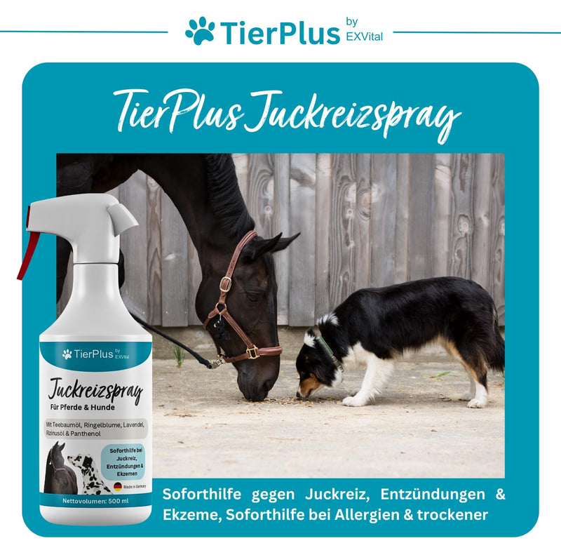 TierPlus itch spray for horses & dogs, 500 ml spray bottle, against itching, inflammation & eczema, immediate help for allergies & dry skin, clever care formula