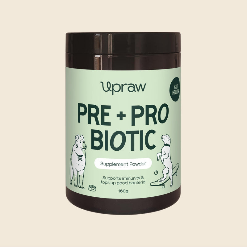 Pre and Probiotic Powder for Dogs 160g, Natural Digestive, Immune Support, Grain Free, Gut & Digestive Health, Sensitive Tums, Anal Glands & Bum Scooting, Loose Stools, Waxy, Smelly & Itchy Ears