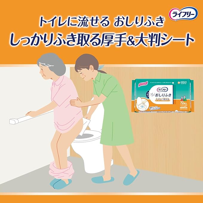 Lifeley Adult Wipes, Flushable in the Toilet, 864 Sheets (72 Sheets x 12) [Case Item] -  Australia