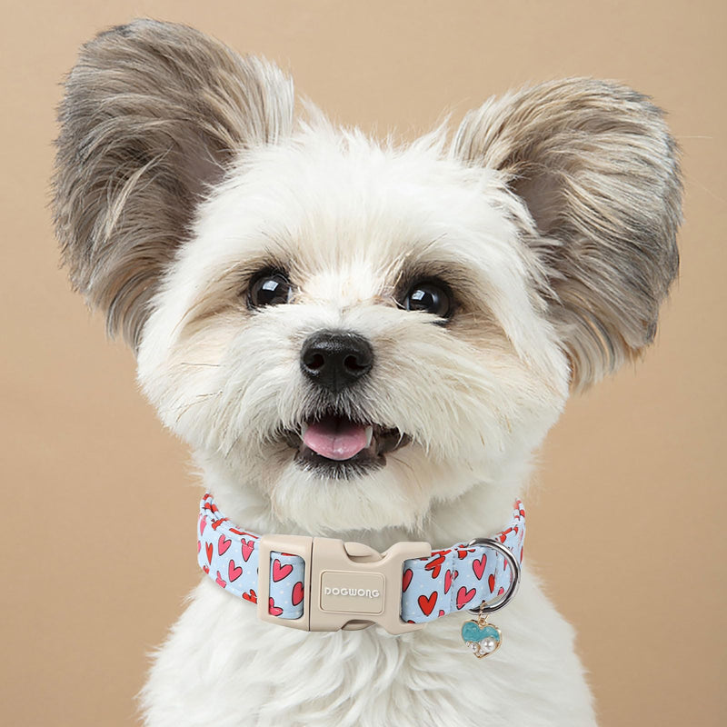 DOGWONG Valentine Dog Collar- Cute Blue Heart Dog Collars Adjustable Designer Valentine’s Day Puppy Heart Dog Collar for Small Medium Large Dogs S V: Blue heart - BeesActive Australia