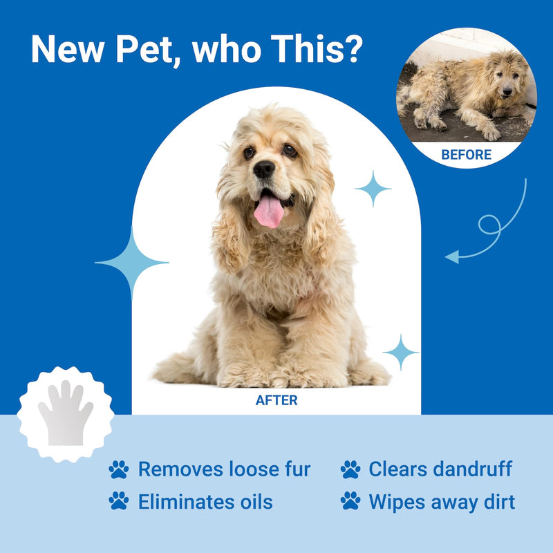 Pet Grooming Glove Wipes, Dog and Cat Cleaning Wipes for Fur, Paws, Butt, Puppy and Dog wet wipes, Hypoallergenic Deodorizing with Natural Sunshine Oat Extract, On-the-Go Freshness, Fast clean - BeesActive Australia