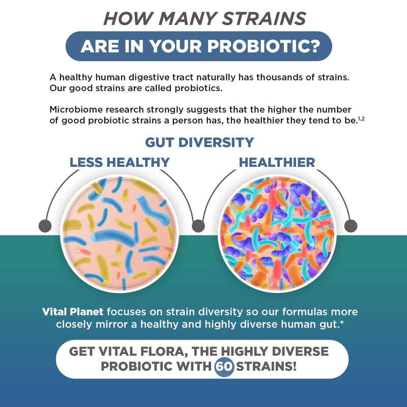 Vital Planet - Vital Flora Immune Support Probiotic, 60 Billion CFU, 60 Diverse Strains, 7 Organic Mushroom Supplement Blend with Prebiotics, Shelf Stable Digestive Health Probiotics 30 Capsules