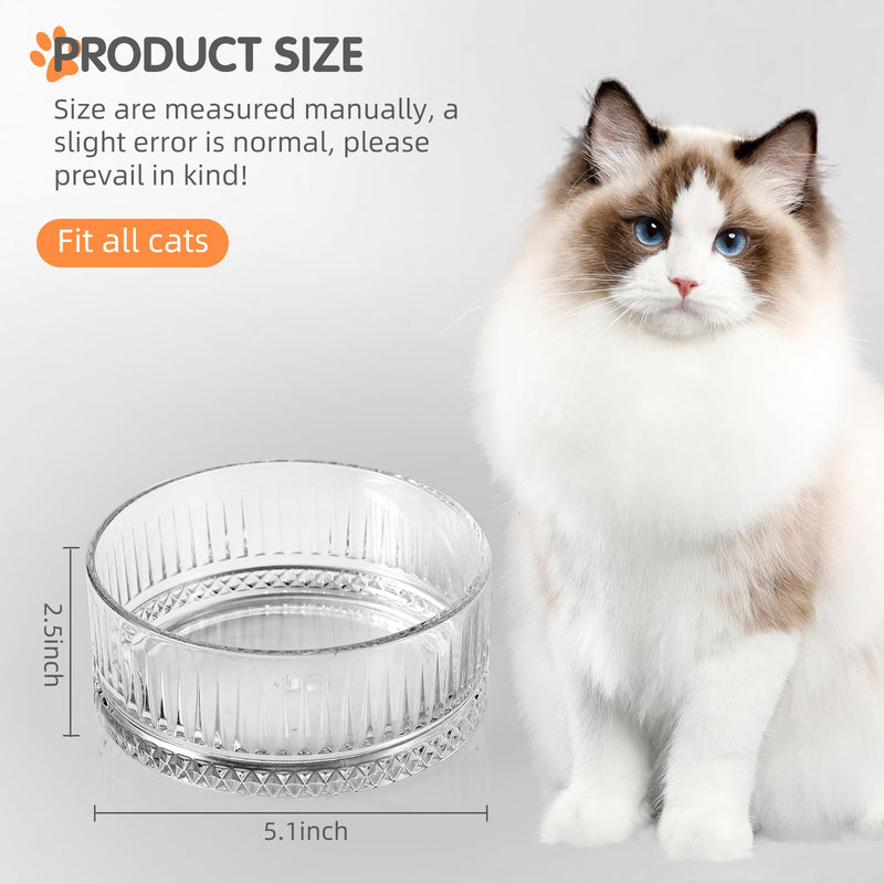 Set of 2 Glass Cat Bowls, Food and Water Bowls for Cats, Kity, 2pcs Cat Dishes, Cat Feeder (5.1 inch, 2 x Transparent Dish Bowls Glacial Rocks Raise The Water Level - BeesActive Australia
