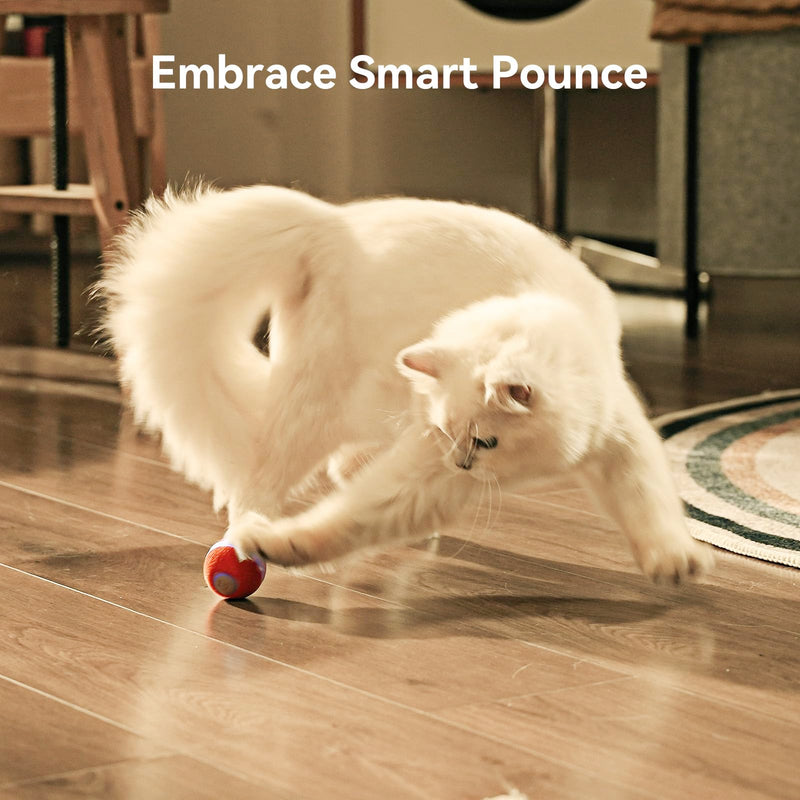 Cheerble 【2025 Upgrade】 Interactive Cat Ball Toy, Wicked Ball M3, Automatic Moving Ball Toy for Indoor Cat Kitten, Smart Anti-Depression Pet Toy Fun Gift with Light Red - BeesActive Australia