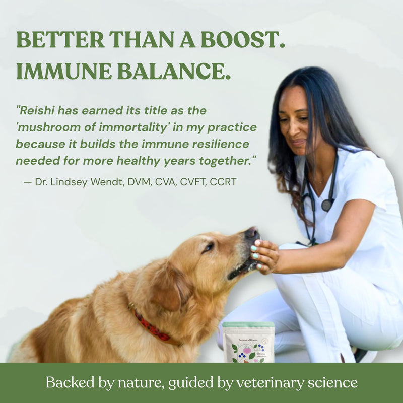 Flower Power Healthy Dog Treats - Mushroom Supplement Chews for Dogs with Reishi Mushroom & Antioxidants - Vet Formulated Vegan Peanut Butter Treats, 2 Pack Flower Power 4 Ounce (Pack of 2)