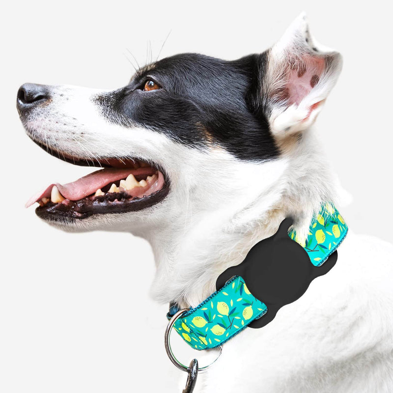 Airtag Dog Collar Holder (2 Pack) SWINCHO Silicone GPS Tracker Case Anti-Lost Protective Air Tag Cat Collar Holder (Black&White) Black&White - BeesActive Australia