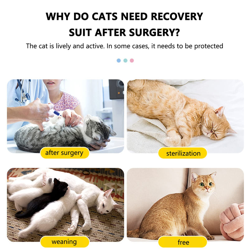Cachpib Recovery Suit Cat, Cat Bodysuit After Surgery Recovery Suit with Pets Protective Collar, Pets Protective Clothing Recovery Suit Vest for Pets - Green M - BeesActive Australia