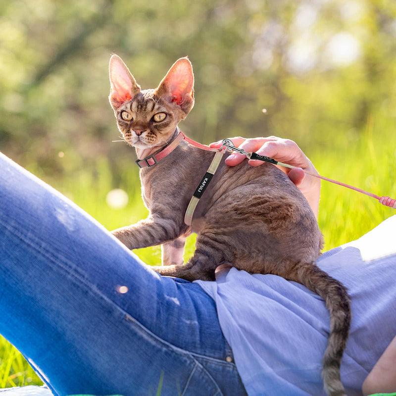 TIESOME Cat Harness with Leash and Collar Set, Adjustable Gradient Kitten Harness, Escape Proof Harness with Leash for Kittens Walking Outdoors (Orange and Yellow) Orange Yellow - BeesActive Australia