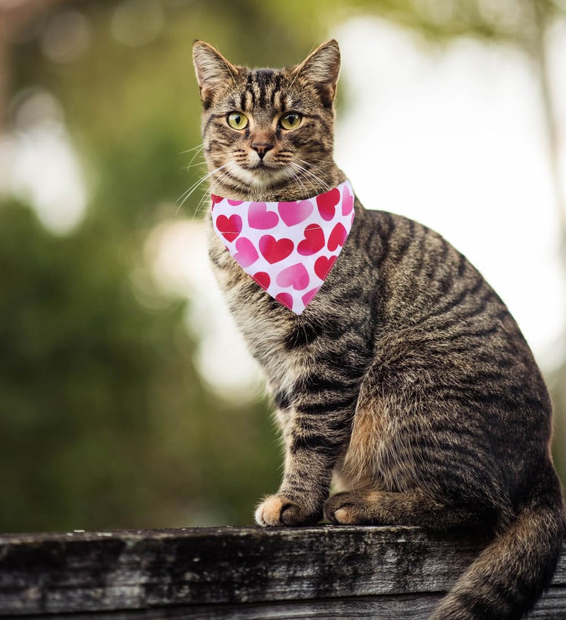 Valentine's Day Cat Collars Breakaway with Bandana Bell Pet Kitten Collar Adjustable Small Dog Puppies Girl Boy Valentine - BeesActive Australia
