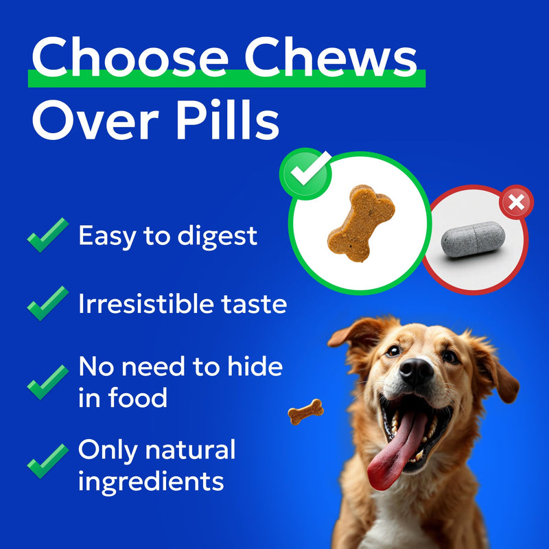 BARK&SPARK Daily Joint Care Chews - Advanced Mobility Joint Supplement - Choose Chews! - Glucosamine Hip & Joint Support for Senior Dogs - Made in UK - 180 Count 180 Joint Care Chews