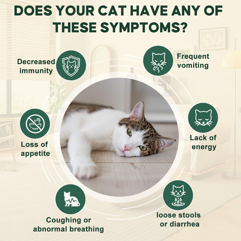 lvermect for Cat – Broad Spectrum Digestive & Gut Balance Liquid for Cats, Supports Internal Cleanse, Digestive Comfort and Daily Wellness for Kittens and Adult Cats, Gentle Cat Drops - 100mL