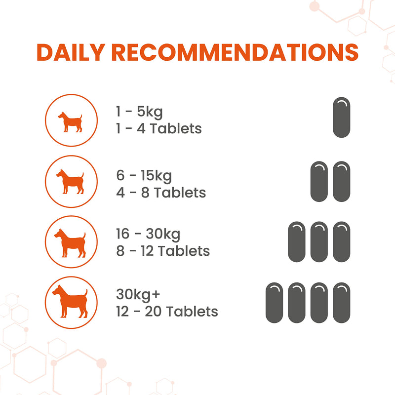 Vetzyme Once A Day Conditioning Tablets for Dogs (240 Tablets) - With B Complex Vitamins to Promote Fitness and Support a Healthy Immune System 240 Tablets