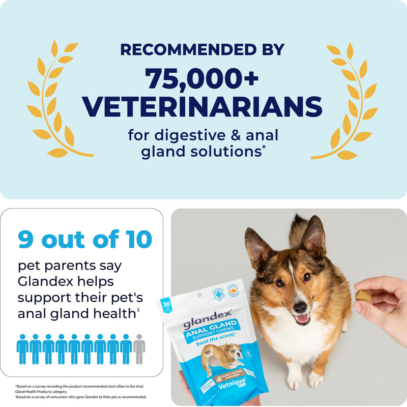 Glandex Anal Gland Soft Chew Treats with Pumpkin for Dogs Digestive Enzymes, Probiotics Fiber Supplement for Dogs Boot The Scoot (Peanut Butter Chews, 60ct) Peanut Butter Chews - BeesActive Australia