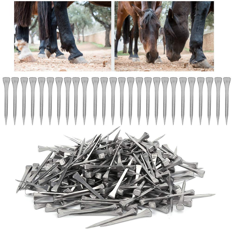 250 Pcs Stainless Steel Horseshoe Nails, E5 Horseshoe Nails, 2 Inches Sharp Bevel Horseshoe Nail Horseshoe Tools Horse Hoof Nail for Horse Training Equestrian Sports - BeesActive Australia