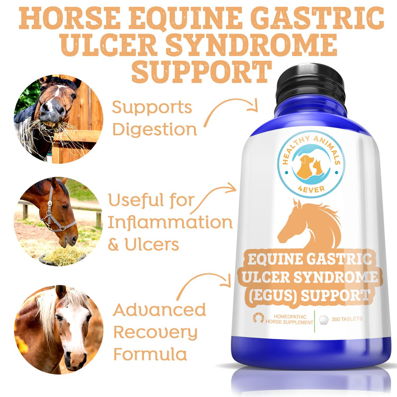 Horse All-Natural Equine Gastric Ulcer Syndrome (EGUS) Support -Reduces Ulcers & Other Stomach Lining Issues - Supplements for Horses - Homeopathic & Highly Effective-300 Tablets