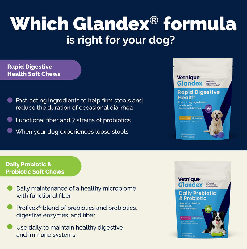 Vetnique Glandex Rapid Digestive Support for Dogs with Loose Stool | Diarrhea - Probiotics and Pumpkin for Dogs to Help Firm Dog Poop - 25 Chicken Flavored Soft Chews (25ct, Anti-Diarrhea) 25ct