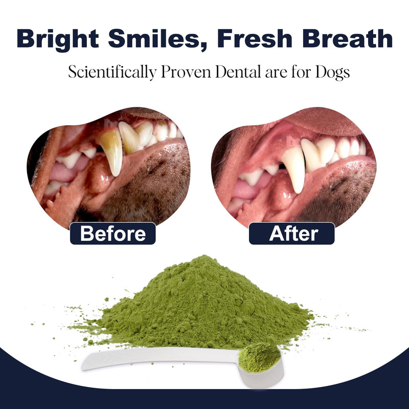 Dog Breath Freshener Dental Powder–Teeth Cleaning Powder for Dogs with Probiotics & Herbs–Plaque & Tartar Remover, Fresh Breath Remedy & Oral Care-Bacon Flavor-75 Scoops (Pack of 1)