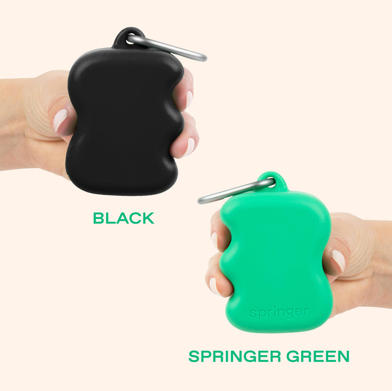 Springer Dog Treat Pouch for Effort-Free Squeeze Dispensing - Easy-fill, Food-Grade Silicone Treat Pouches for Pet Training - Includes Carabiner-Black Black - BeesActive Australia