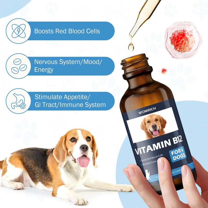 Vitamin B12 for Dogs | Methylcobalamin Supplement | Boosts Red Blood Cell Formation, Energy, Nervous System & Appetite | 2 fl oz Dropper | Vitamin Supplement for Dogs - PawsPlanet Australia