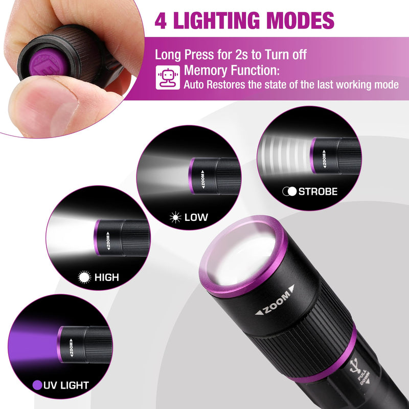 EverBrite LED Headlamp and Rechargeable Pen Flashlight - BeesActive Australia