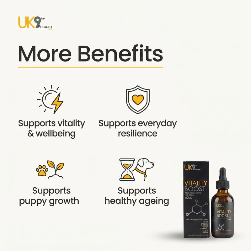 UK9 Vitality Boost, Immune Support Vitamins for Dogs, Wild Mushroom for dogs, with Chaga, Turkey Tail, Shiitake, Reishi and Maitake Mushroom Extract, Beta Glucan 60ml easy dosage liquid k9 drops.