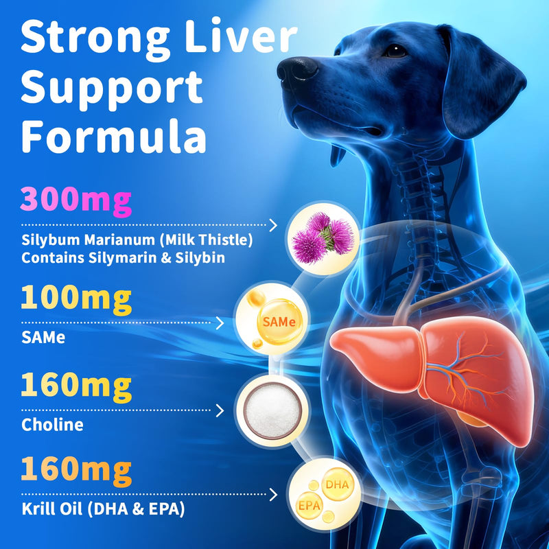 Senior Dog Liver & Joint Supplement – Same, Milk Thistle (Silybin), Glucosamine, MSM for Liver Health Detox, Mobility, Joint Pain Support, Cognitive & Vitality Support, Beef Flavor, 90Ct 90 Count (Pack of 1)