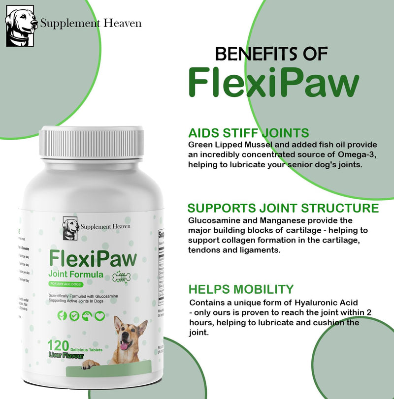 FlexiPaw - High Strength Hip And Joint Supplement for Dogs with Glucosamine, Chondroitin, Green Lipped Mussel | 120 Tablets