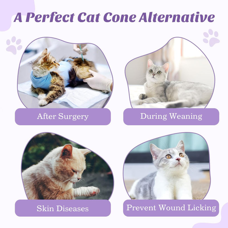 VavoPaw Cat Bodysuit After Surgery for Female Cats, Breathable Cat Clothing for Surgical Recovery for Abdominal Wounds, Soft Fabric Kitten Suit E-Collar Alternative for Cats, M Purple - BeesActive Australia
