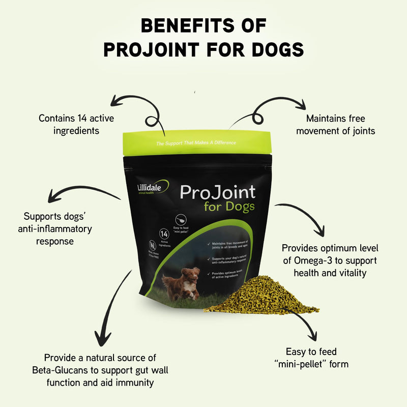 Lillidale ProJoint 500g - Joint Supplement for Dogs with Glucosamine and Chondroitin - Premium Anti-Inflammatory Support - Mobility - Hip & Joints - Soothes Stiffness - Dog Joint Supplement 1 x 500g