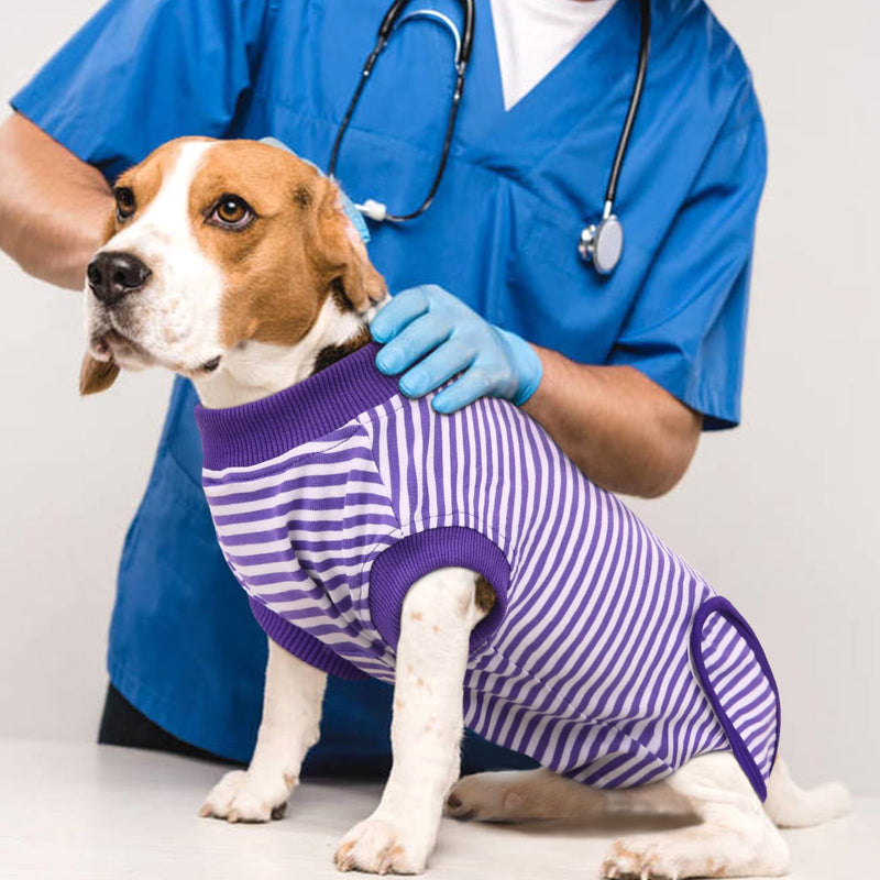 Hjumarayan Dog Bodysuit after Surgery - Dog Bodysuit after Castration Male Breathable Surgery Body Dog Castration Female Dog with Velcro Dog Body Surgery Female Alternative to the Annoying Neck Brace, Purple Striped M - BeesActive Australia