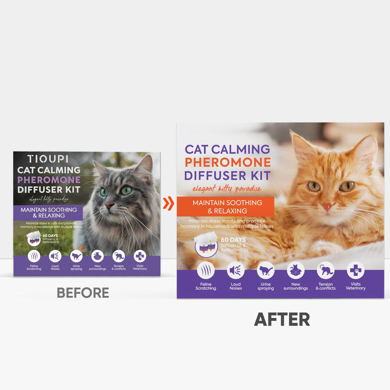 Cat Pheromones Calming Diffuser: 2 Diffusers & 2 Refills Top Value Kit – Cat Calming Diffuser Helps Reduce Scratching, Peeing, Meowing, Hiding, Urine Marking & Aggression Orange