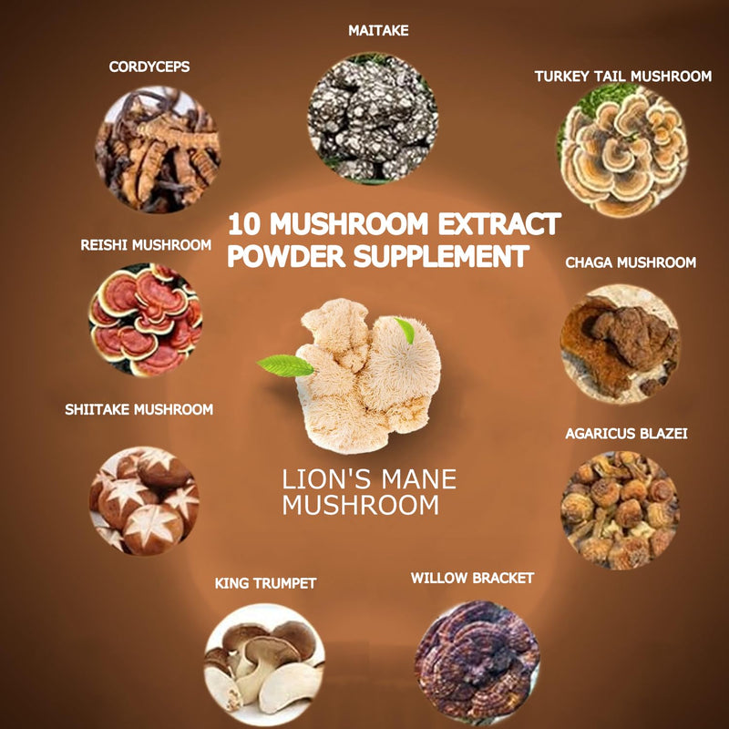 Mushroom Coffee, 10 Mushroom Extract Powder Blend Lion's Mane, Reishi, Chaga, Cordyceps, Turkey Tail, Brain Supplements with Instant Coffee for Energy, Focus, Memory and Immunity 150g mushroom coffee 5.3 Ounce (Pack of 1)