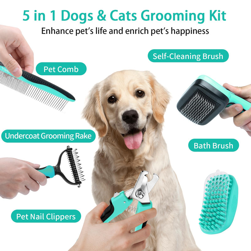 Dog Brush Kit for Grooming Short & Long Haired Dogs & Cats, 5 in 1 Pet Grooming Set for Small Animals, 5 PCS Puppy Self-Cleaning Slicker Brush and Pet Comb for Shedding Medium & Large Dogs Green 5 PCS - BeesActive Australia
