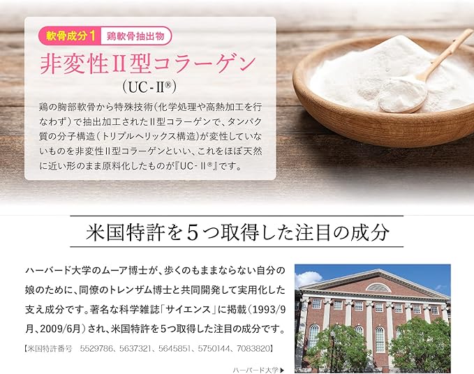Shinjun EX (30 tablets/approx. 1 month supply) Proteoglycan <<25mg/day>> Type II collagen <<40mg/day>> Supplement [Type 2 collagen knee joint] Made in Japan  limited supplement - BeesActive Australia
