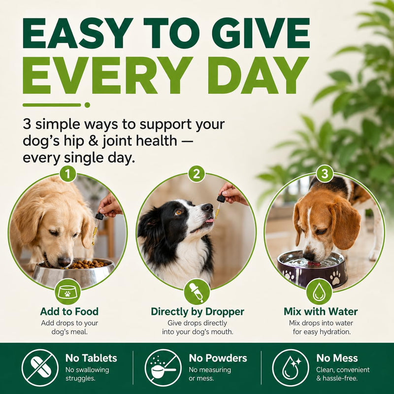 BUDDY'S BEST Twin Pack Natural Joint Support for Dogs – With Flaxseed, Hemp, Ginger & Turmeric Oils – Helps Maintain Mobility & Flexibility – Supports Overall Well-being – 50ml Pack of 2