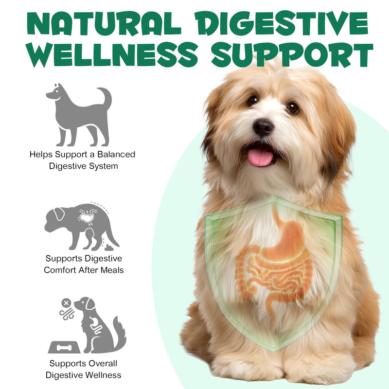 Activated Charcoal Powder for Dogs & Cats – Complementary Feed, Supports Digestive Wellness & Oral Freshness, Easy to Mix, Gluten Free, 120g