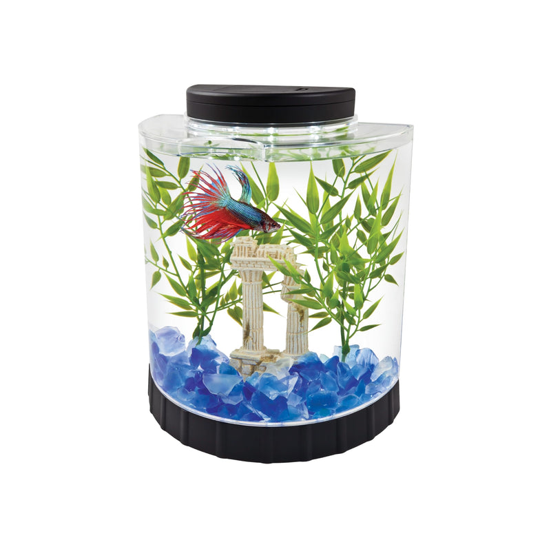 Tetra 1 Gallon Half Moon Small Fish Tank w/ Movable LED Light, For Betta & Gold Fish, Aquarium 9"W,10.5"H,4.5"D - BeesActive Australia