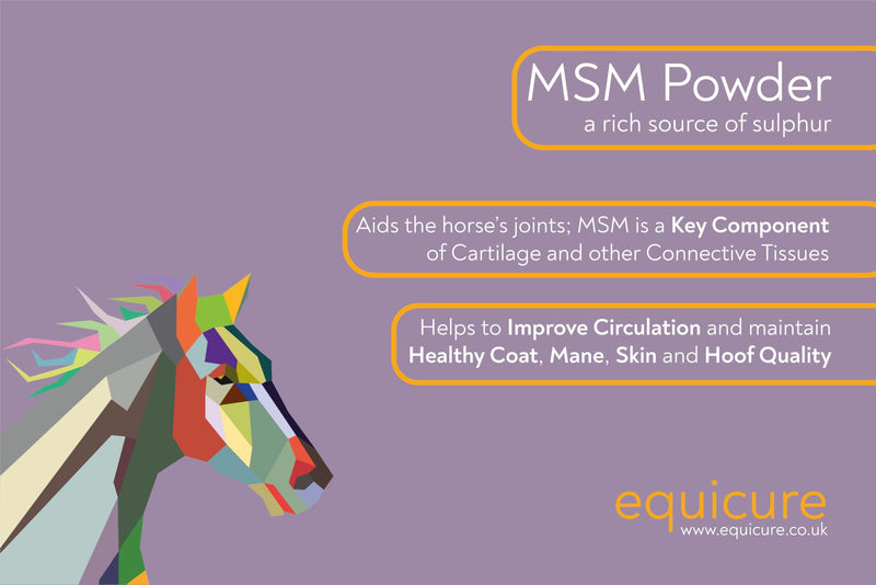MSM Powder For Horse/Pony (500g) 500g