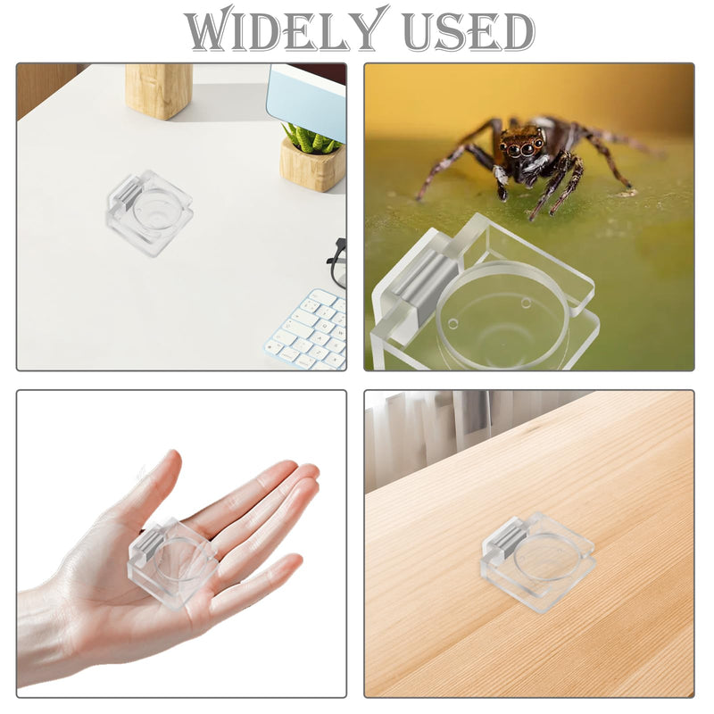 Acrylic Jumping Spider Feeding Dish Accessories, Transparent Jumping Spider Enclosure Accessories, Tarantula Enclosure Accessories for Tarantula, Jumping Spider Feeding Dish Spider Terrarium - BeesActive Australia
