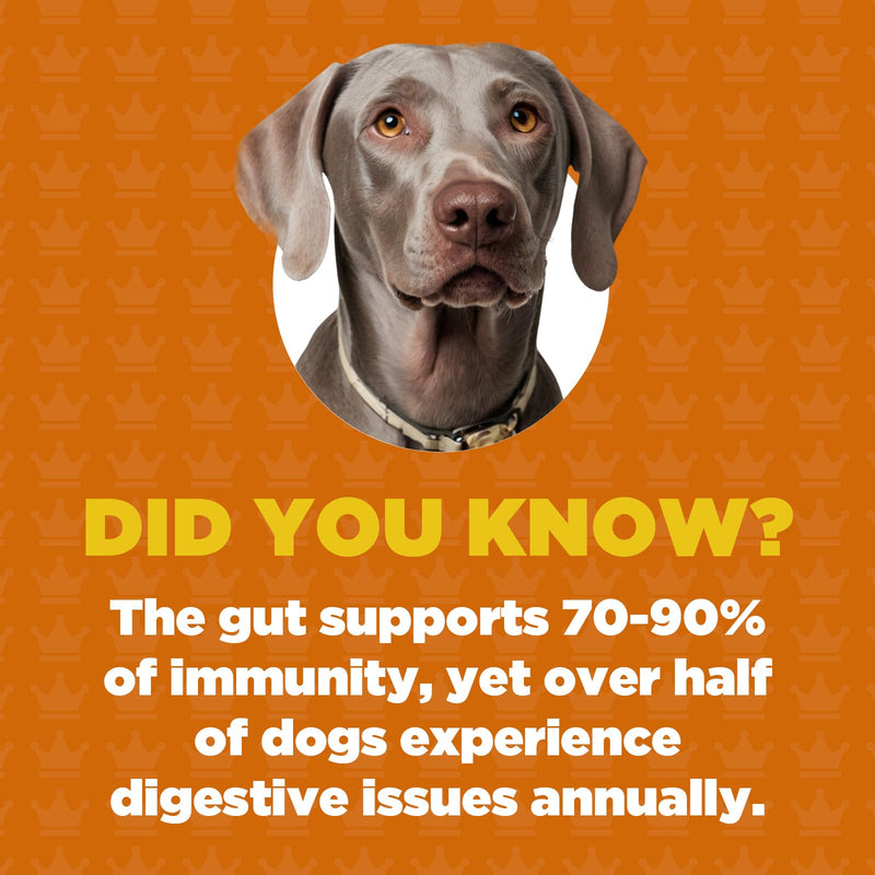 ProDog Digest Gut & Digestive Health with Prebiotics & Fibre Supplement (90 Gram) 90 Gram