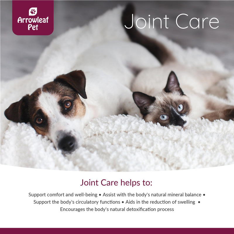 Joint Care by NaturPet Inc for Dogs and Cats | Contains Turmeric | Mobility | 100mL Herbal Tincture