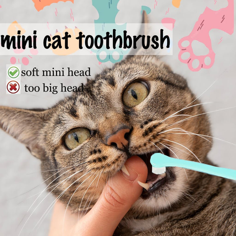 6 Pcs Cat Toothbrush with Micro Head to fit into Cat Mouth, Ultra Soft Bristles Pet Toothbrush Kit, Kitten/Puppy Toothbrushes, Kitty Dental Care Supplies, Avoid Bleeding Gums & Help Gap Cleaning